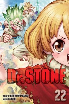 DR STONE GN 22