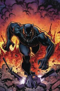 RISE OF BLACK PANTHER