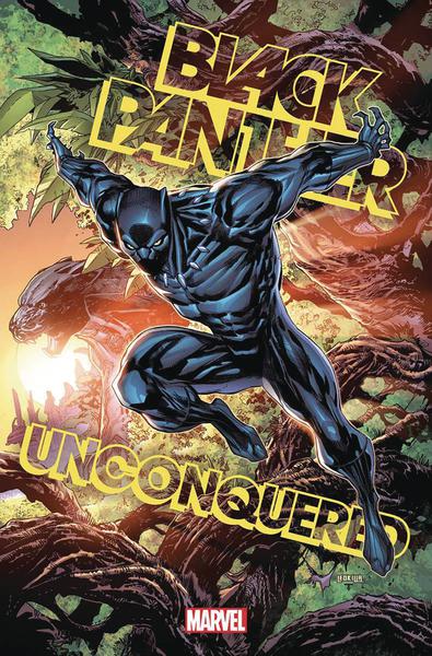 DF BLACK PANTHER UNCONQUERED #1 STEGMAN SGN