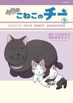 CHI SWEET ADVENTURES GN 03