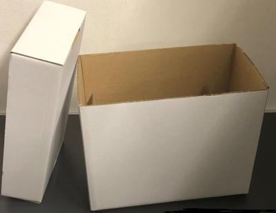 COMIC BOX SHORT (Regular)